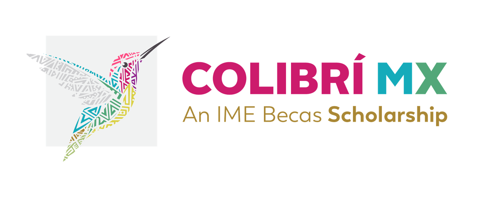 Colibri-MX-Scholarship-logo_FINALpng A black background with the word colibrium written in pink.