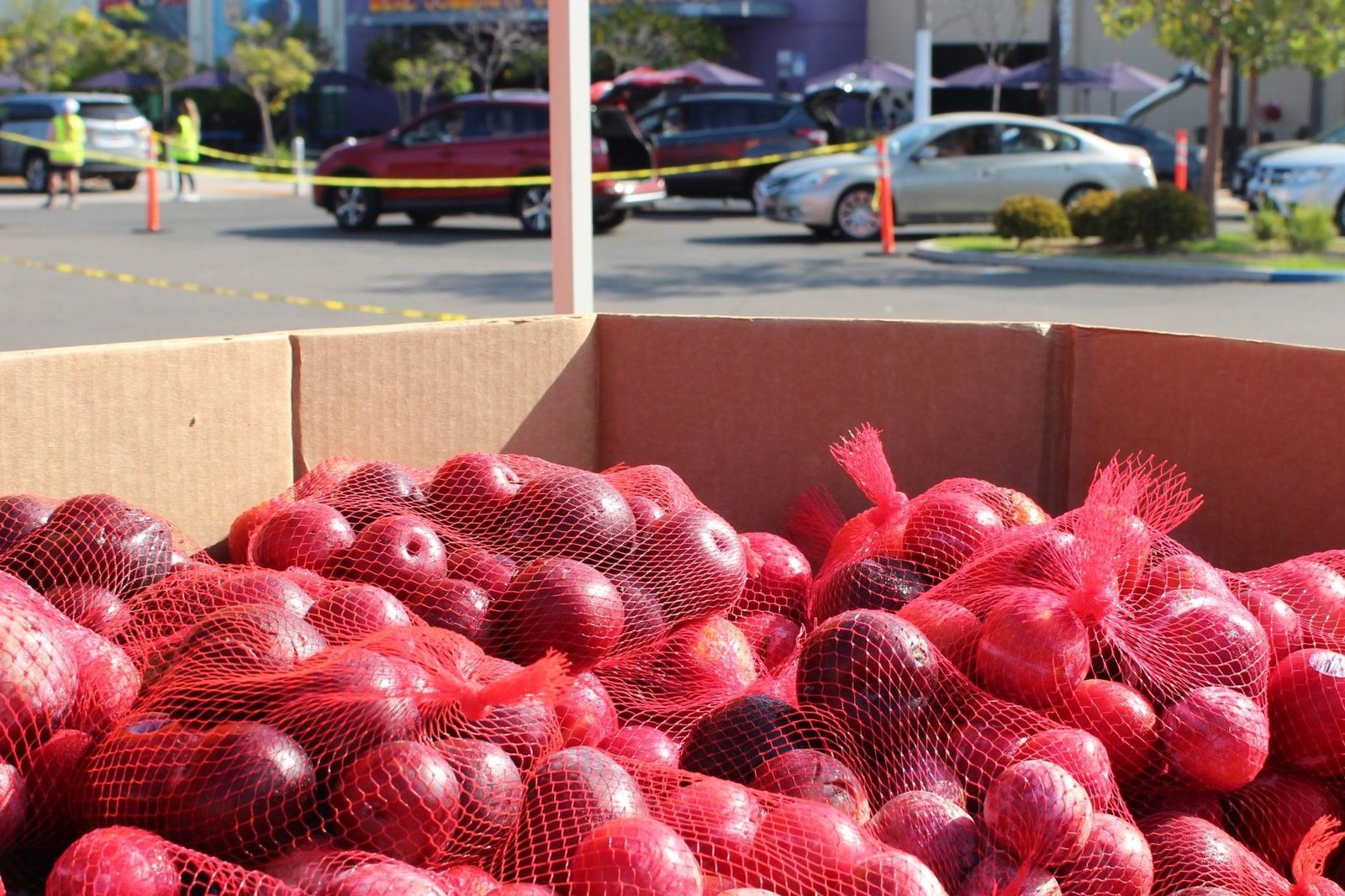 A box of apples with red net bags on top.