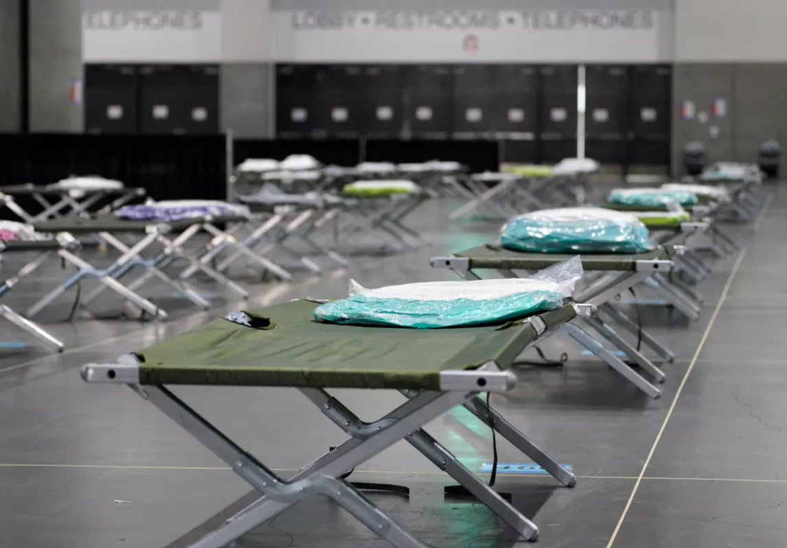 A row of green folding beds in an empty room.